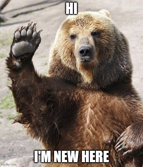 Hello bear | HI; I'M NEW HERE | image tagged in hello bear | made w/ Imgflip meme maker