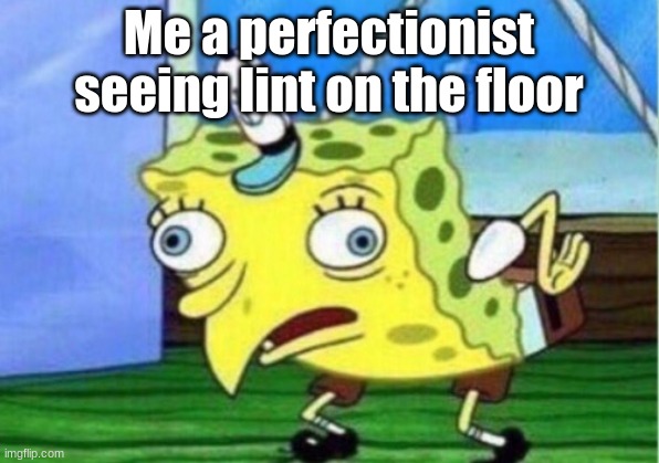 Mocking Spongebob Meme | Me a perfectionist seeing lint on the floor | image tagged in memes,mocking spongebob | made w/ Imgflip meme maker