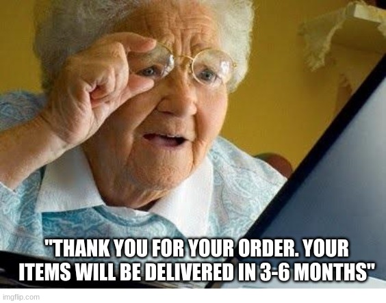 old lady at computer |  "THANK YOU FOR YOUR ORDER. YOUR ITEMS WILL BE DELIVERED IN 3-6 MONTHS" | image tagged in old lady at computer | made w/ Imgflip meme maker