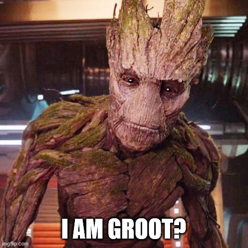 Groot Guardians of the Galaxy | I AM GROOT? | image tagged in groot guardians of the galaxy | made w/ Imgflip meme maker