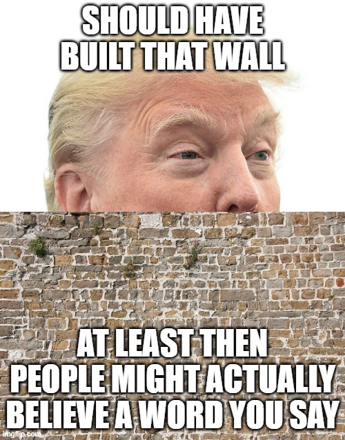 Trump Wall | SHOULD HAVE BUILT THAT WALL; AT LEAST THEN PEOPLE MIGHT ACTUALLY BELIEVE A WORD YOU SAY | image tagged in trump wall | made w/ Imgflip meme maker