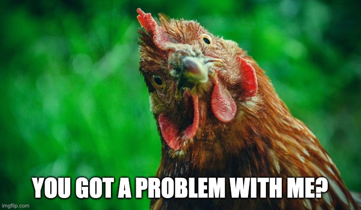 Crazy Chicken | YOU GOT A PROBLEM WITH ME? | image tagged in chicken,funny,memes,animals,sassy,funny animals | made w/ Imgflip meme maker