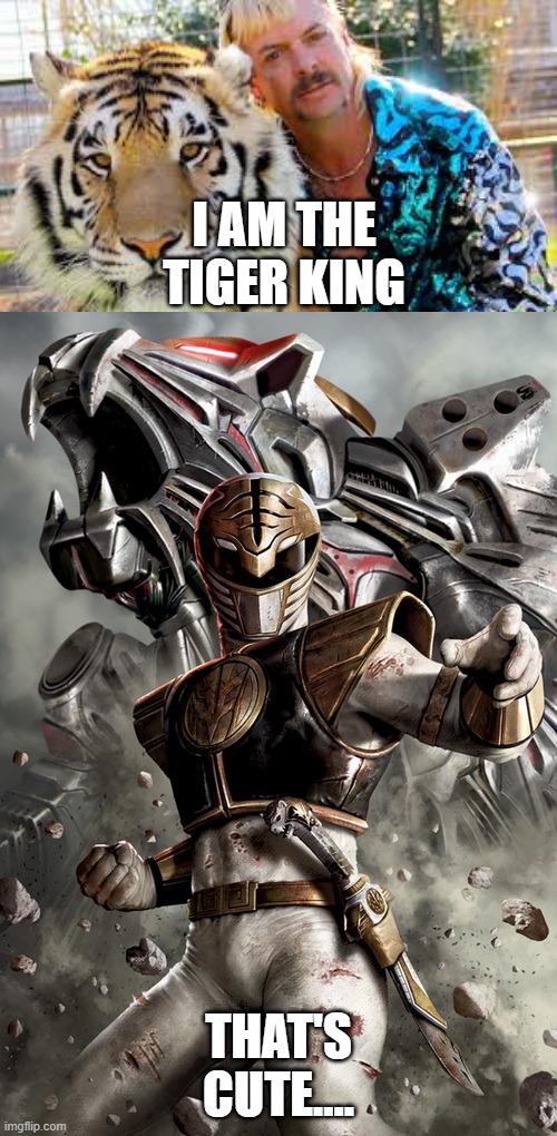 I AM THE TIGER KING; THAT'S CUTE.... | image tagged in tiger king,power rangers,white ranger,i am the tiger king,thats cute | made w/ Imgflip meme maker