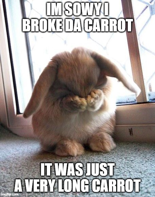 embarrassed bunny | IM SOWY I BROKE DA CARROT; IT WAS JUST A VERY LONG CARROT | image tagged in embarrassed bunny | made w/ Imgflip meme maker