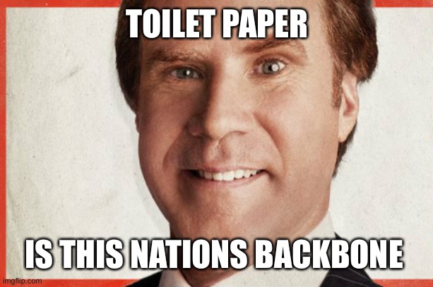 cam brady will ferrell the campaign | TOILET PAPER; IS THIS NATIONS BACKBONE | image tagged in cam brady will ferrell the campaign | made w/ Imgflip meme maker