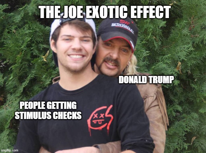 The Joe Exotic Effect | THE JOE EXOTIC EFFECT; DONALD TRUMP; PEOPLE GETTING STIMULUS CHECKS | image tagged in joe exotic,tiger king,donald trump,stimulus check,free money,sugar daddy | made w/ Imgflip meme maker
