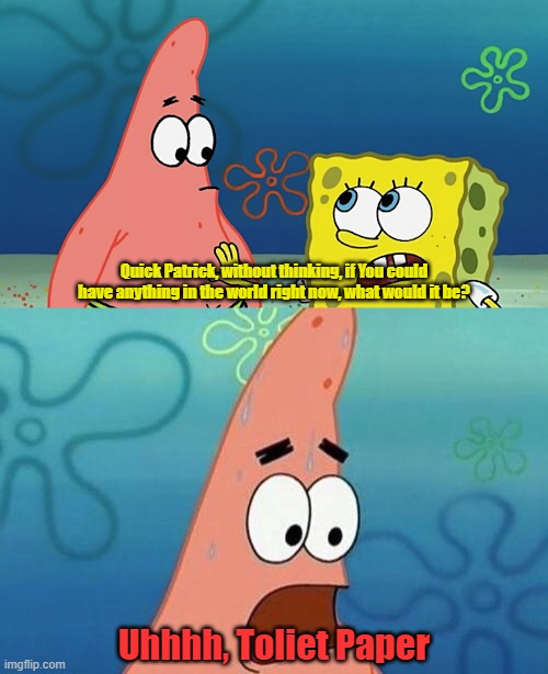 Quick Patrick, without thinking, if You could have anything in the world right now, what would it be? Uhhhh, Toliet Paper | made w/ Imgflip meme maker