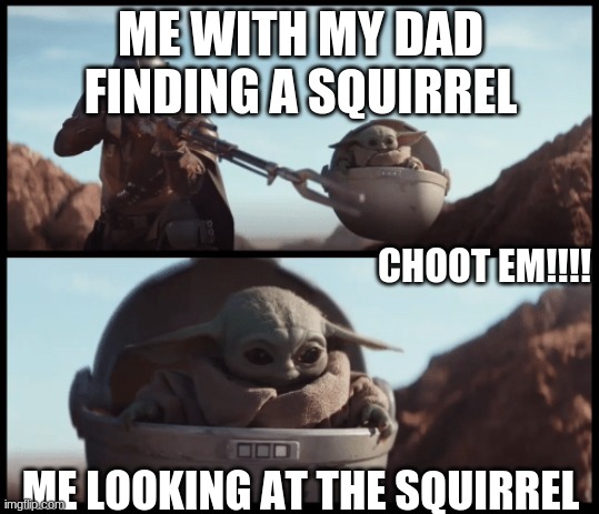 Baby Yoda | ME WITH MY DAD FINDING A SQUIRREL; CHOOT EM!!!! ME LOOKING AT THE SQUIRREL | image tagged in baby yoda | made w/ Imgflip meme maker