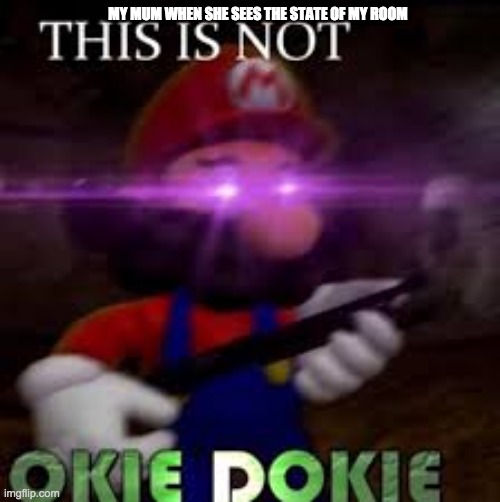 This is not okie dokie | MY MUM WHEN SHE SEES THE STATE OF MY ROOM | image tagged in this is not okie dokie | made w/ Imgflip meme maker