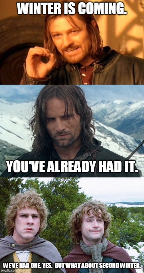 WINTER IS COMING. YOU'VE ALREADY HAD IT. WE'VE HAD ONE, YES.  BUT WHAT ABOUT SECOND WINTER. | image tagged in memes,one does not simply,hobbits,aragon model stare | made w/ Imgflip meme maker