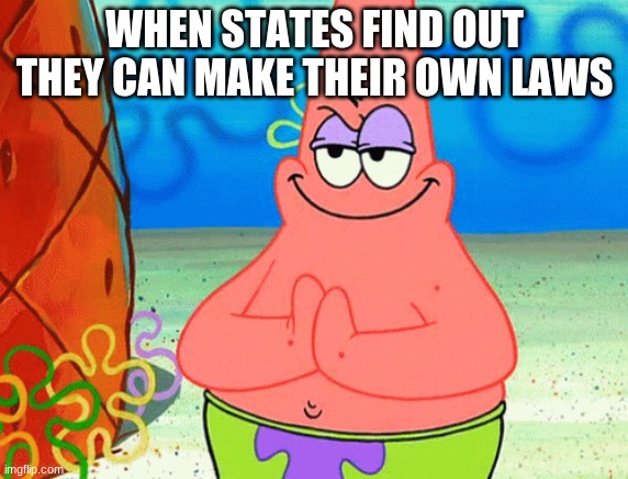 WHEN STATES FIND OUT THEY CAN MAKE THEIR OWN LAWS | image tagged in law | made w/ Imgflip meme maker