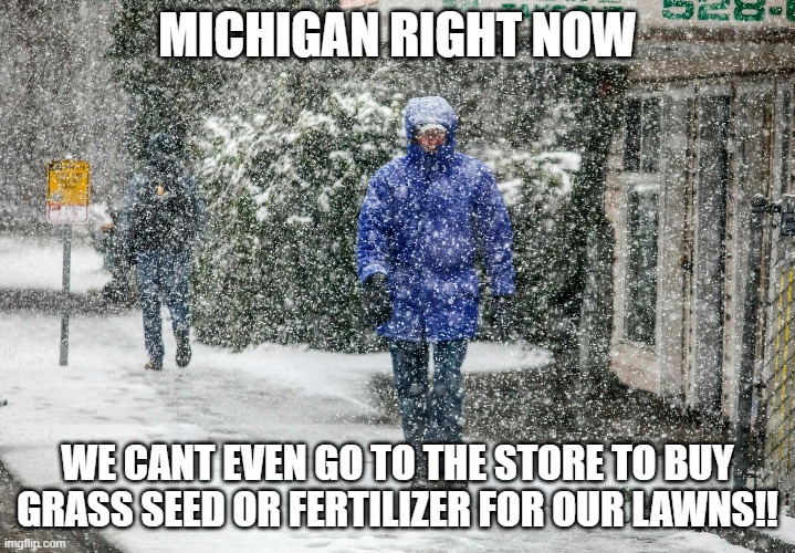 MICHIGAN RIGHT NOW; WE CANT EVEN GO TO THE STORE TO BUY GRASS SEED OR FERTILIZER FOR OUR LAWNS!! | image tagged in michigan,covid-19 | made w/ Imgflip meme maker