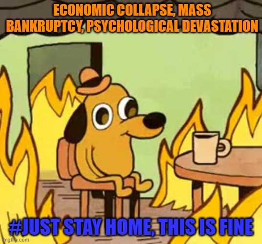 Its fine | ECONOMIC COLLAPSE, MASS BANKRUPTCY, PSYCHOLOGICAL DEVASTATION; #JUST STAY HOME, THIS IS FINE | image tagged in its fine | made w/ Imgflip meme maker