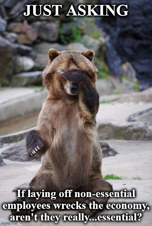 bear | JUST ASKING; If laying off non-essential employees wrecks the economy, aren't they really...essential? | image tagged in bear | made w/ Imgflip meme maker