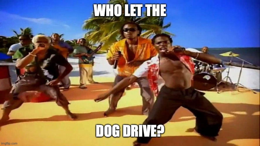 Who let the dogs out  | WHO LET THE DOG DRIVE? | image tagged in who let the dogs out | made w/ Imgflip meme maker