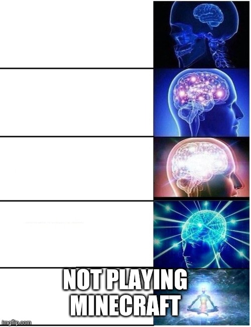 Expanding Brain 5 Panel | NOT PLAYING MINECRAFT | image tagged in expanding brain 5 panel | made w/ Imgflip meme maker