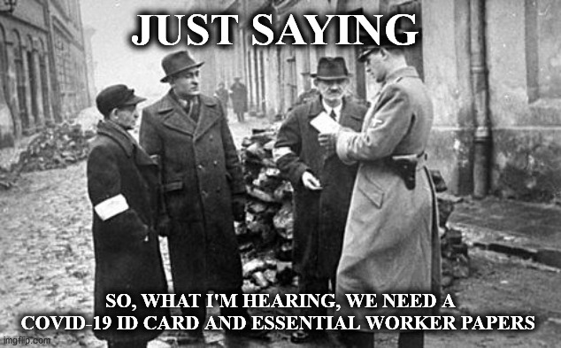 papers | JUST SAYING; SO, WHAT I'M HEARING, WE NEED A COVID-19 ID CARD AND ESSENTIAL WORKER PAPERS | image tagged in papers | made w/ Imgflip meme maker