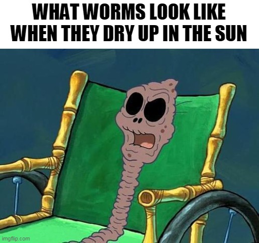 What Did He Say Spongebob Meme | WHAT WORMS LOOK LIKE WHEN THEY DRY UP IN THE SUN | image tagged in what did he say spongebob meme | made w/ Imgflip meme maker