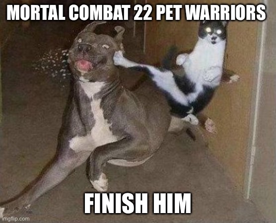 Cat Kicking Dog | MORTAL COMBAT 22 PET WARRIORS; FINISH HIM | image tagged in cat kicking dog | made w/ Imgflip meme maker