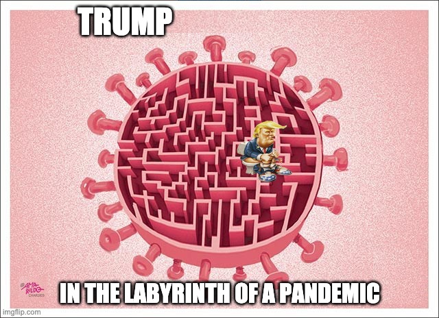 Trump pandemic | TRUMP; IN THE LABYRINTH OF A PANDEMIC | image tagged in trump,republicans,conservatives | made w/ Imgflip meme maker