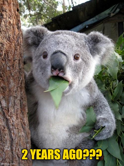 Surprised Koala Meme | 2 YEARS AGO??? | image tagged in memes,surprised koala | made w/ Imgflip meme maker