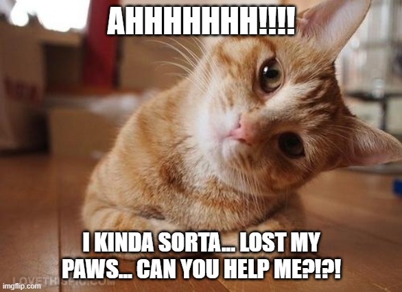 Curious Question Cat | AHHHHHHH!!!! I KINDA SORTA... LOST MY PAWS... CAN YOU HELP ME?!?! | image tagged in curious question cat | made w/ Imgflip meme maker