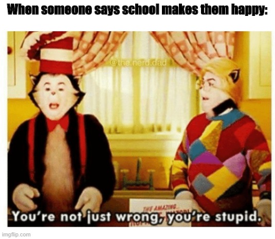 You're not just wrong your stupid | When someone says school makes them happy: | image tagged in you're not just wrong your stupid | made w/ Imgflip meme maker