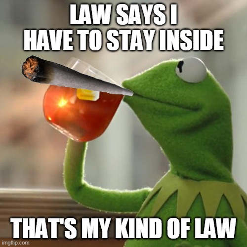 But That's None Of My Business Meme | LAW SAYS I HAVE TO STAY INSIDE; THAT'S MY KIND OF LAW | image tagged in memes,but that's none of my business,kermit the frog | made w/ Imgflip meme maker