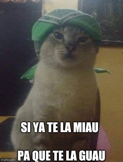 SI YA TE LA MIAU; PA QUE TE LA GUAU | made w/ Imgflip meme maker