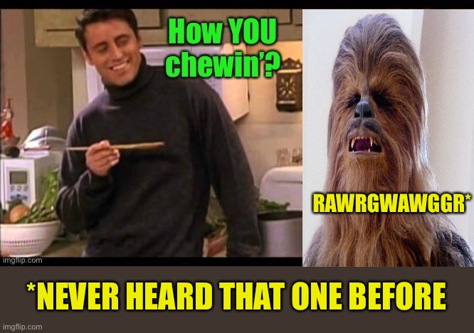 Chewie’s not amused. | RAWRGWAWGGR*; *NEVER HEARD THAT ONE BEFORE | image tagged in joey from friends,chewbacca,memes,funny | made w/ Imgflip meme maker