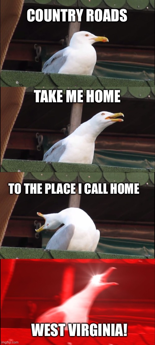 Inhaling Seagull Meme | COUNTRY ROADS; TAKE ME HOME; TO THE PLACE I CALL HOME; WEST VIRGINIA! | image tagged in memes,inhaling seagull | made w/ Imgflip meme maker