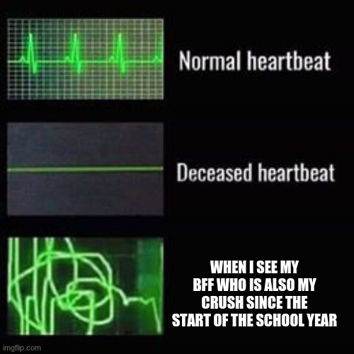 heartbeat rate | WHEN I SEE MY BFF WHO IS ALSO MY CRUSH SINCE THE START OF THE SCHOOL YEAR | image tagged in heartbeat rate | made w/ Imgflip meme maker