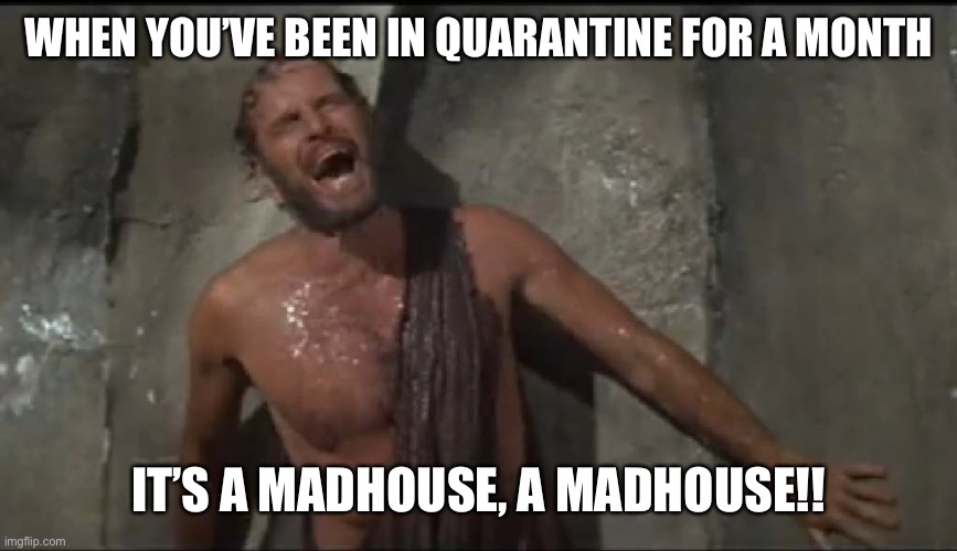 It’s a Madhouse | WHEN YOU’VE BEEN IN QUARANTINE FOR A MONTH; IT’S A MADHOUSE, A MADHOUSE!! | image tagged in planet of the apes,charlton heston | made w/ Imgflip meme maker