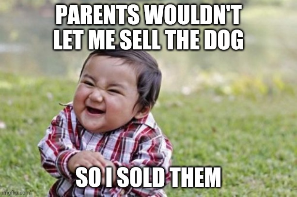 Evil Toddler Meme | PARENTS WOULDN'T LET ME SELL THE DOG; SO I SOLD THEM | image tagged in memes,evil toddler | made w/ Imgflip meme maker