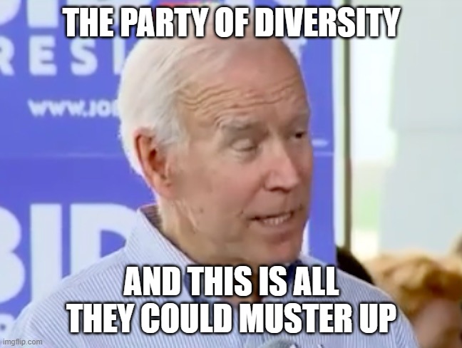 Gone-Biden | THE PARTY OF DIVERSITY; AND THIS IS ALL THEY COULD MUSTER UP | image tagged in gone-biden | made w/ Imgflip meme maker