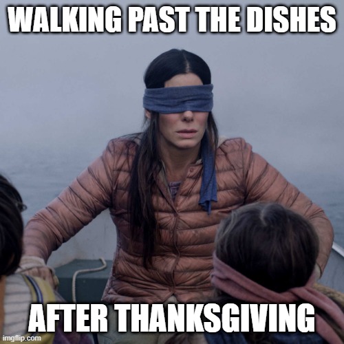 Bird Box Meme | WALKING PAST THE DISHES; AFTER THANKSGIVING | image tagged in memes,bird box | made w/ Imgflip meme maker