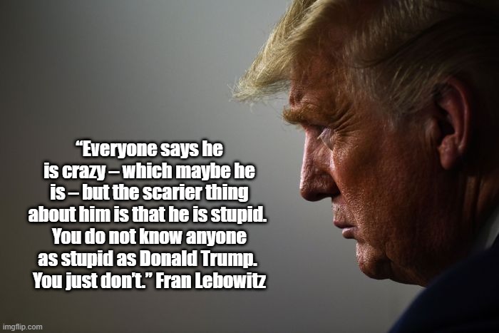 “Everyone says he is crazy – which maybe he is – but the scarier thing about him is that he is stupid. 
You do not know anyone as stupid as  | made w/ Imgflip meme maker