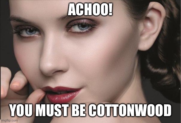 seductive look | ACHOO! YOU MUST BE COTTONWOOD | image tagged in seductive look | made w/ Imgflip meme maker