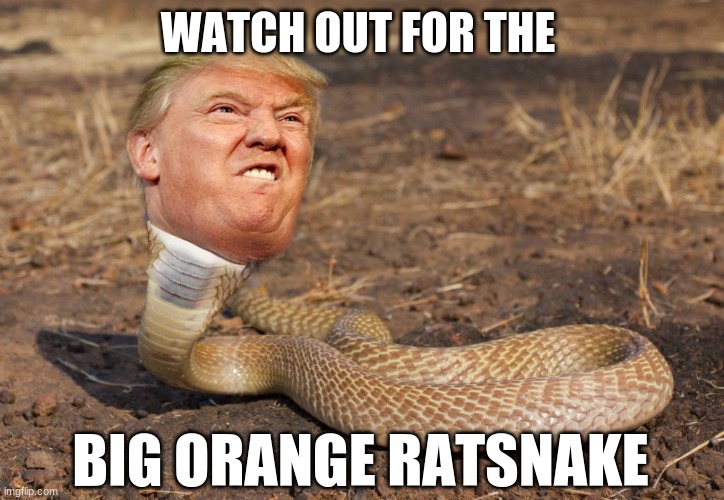 WATCH OUT FOR THE BIG ORANGE RATSNAKE | made w/ Imgflip meme maker