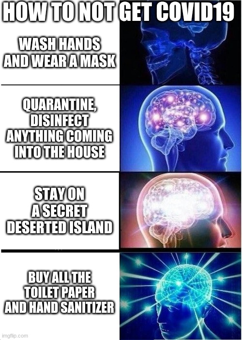 Expanding Brain Meme | HOW TO NOT GET COVID19; WASH HANDS AND WEAR A MASK; QUARANTINE, DISINFECT ANYTHING COMING INTO THE HOUSE; STAY ON A SECRET DESERTED ISLAND; BUY ALL THE TOILET PAPER AND HAND SANITIZER | image tagged in memes,expanding brain | made w/ Imgflip meme maker