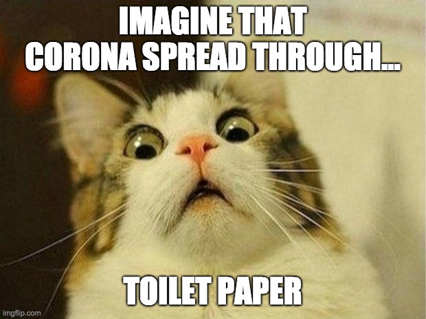 Scared Cat Meme | IMAGINE THAT CORONA SPREAD THROUGH... TOILET PAPER | image tagged in memes,scared cat | made w/ Imgflip meme maker