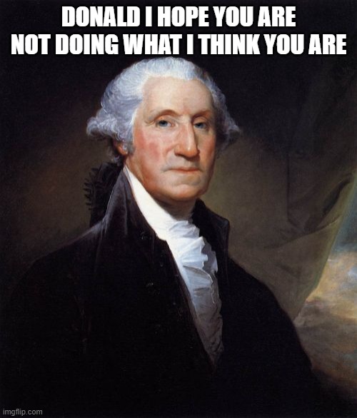 George Washington | DONALD I HOPE YOU ARE NOT DOING WHAT I THINK YOU ARE | image tagged in memes,george washington | made w/ Imgflip meme maker