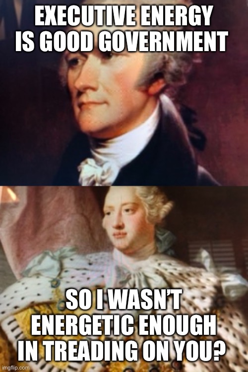 EXECUTIVE ENERGY IS GOOD GOVERNMENT; SO I WASN’T ENERGETIC ENOUGH IN TREADING ON YOU? | image tagged in founding fathers | made w/ Imgflip meme maker