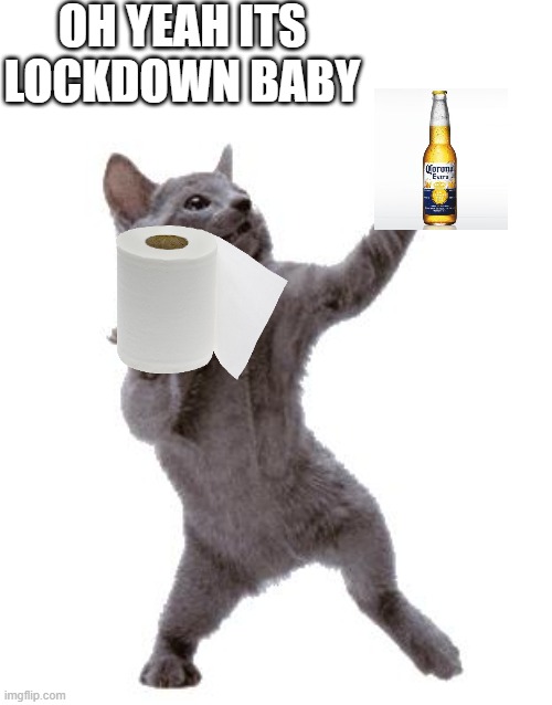 Happy Dance Cat | OH YEAH ITS LOCKDOWN BABY | image tagged in happy dance cat | made w/ Imgflip meme maker