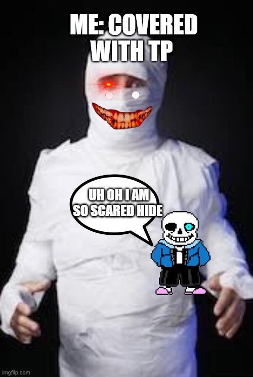 TP Mummy | ME: COVERED WITH TP; UH OH I AM SO SCARED HIDE | image tagged in tp mummy | made w/ Imgflip meme maker