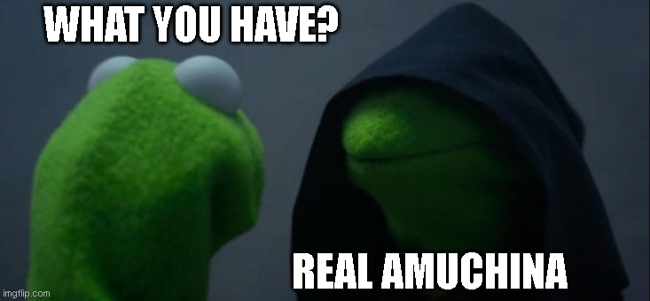 Evil Kermit | WHAT YOU HAVE? REAL AMUCHINA | image tagged in memes,evil kermit | made w/ Imgflip meme maker