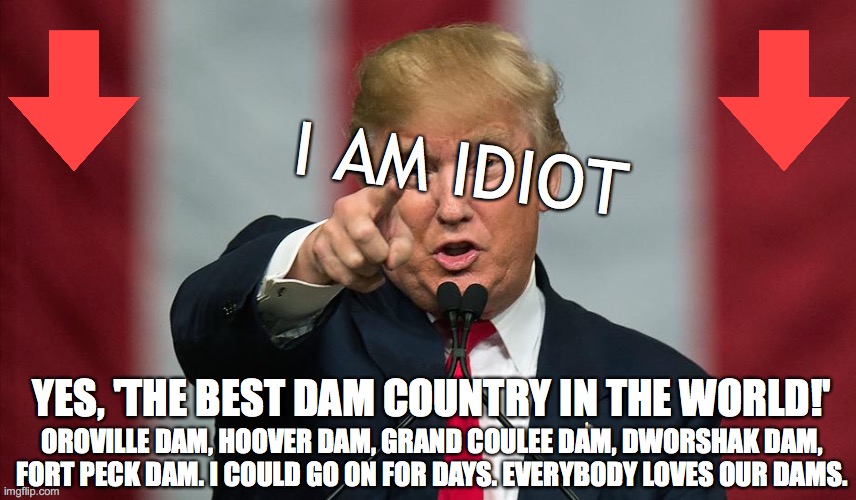 Donald Trump Birthday | I AM IDIOT; YES, 'THE BEST DAM COUNTRY IN THE WORLD!'; OROVILLE DAM, HOOVER DAM, GRAND COULEE DAM, DWORSHAK DAM, FORT PECK DAM. I COULD GO ON FOR DAYS. EVERYBODY LOVES OUR DAMS. | image tagged in donald trump birthday | made w/ Imgflip meme maker