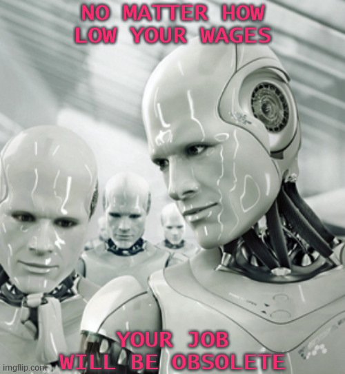 Robots Meme | NO MATTER HOW LOW YOUR WAGES; YOUR JOB WILL BE OBSOLETE | image tagged in robots,workers,corporatization,they took our jobs,obsolete,in the future | made w/ Imgflip meme maker