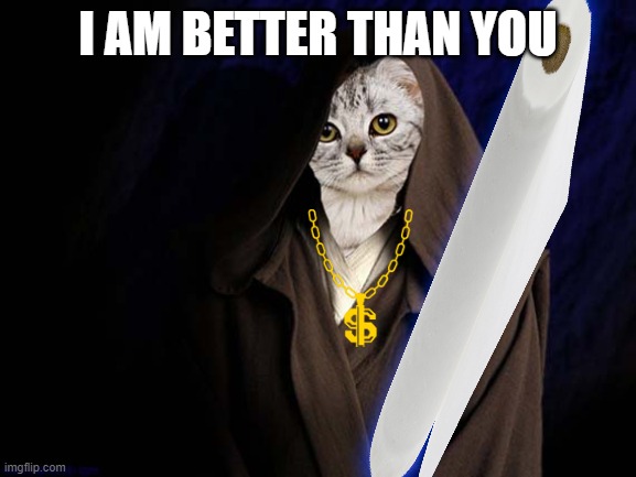 Jedi cat | I AM BETTER THAN YOU | image tagged in jedi cat | made w/ Imgflip meme maker