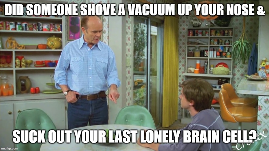 brain cell | DID SOMEONE SHOVE A VACUUM UP YOUR NOSE &; SUCK OUT YOUR LAST LONELY BRAIN CELL? | image tagged in funny,red forman | made w/ Imgflip meme maker